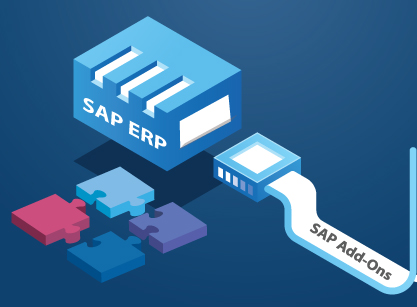 sap add on product for india