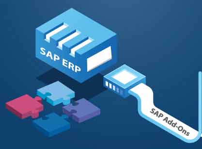 sap add on product for india