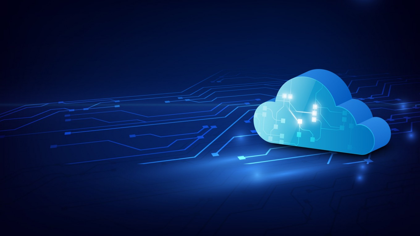 SAP-Exim-Software-Cloud