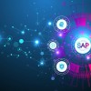 How to Choose the Right SAP Consultant for Your Business Needs